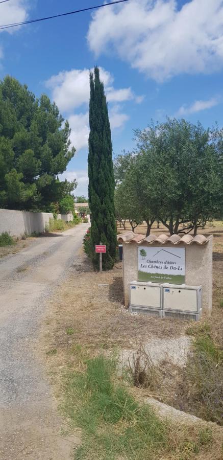 Les Chenes De Da-Li Bed and Breakfast Lezignan-la-Cebe Buitenkant foto
